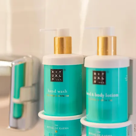 Novotel Centre Compans Caffarelli Toulouse