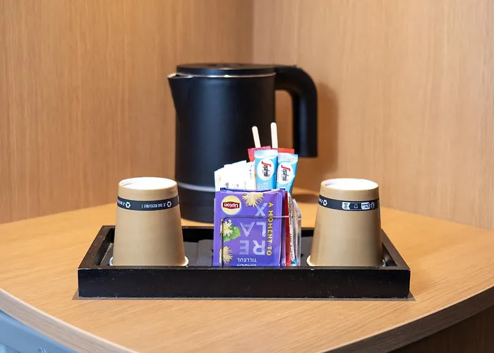 Hotel Novotel Centre Compans Caffarelli Tolosa